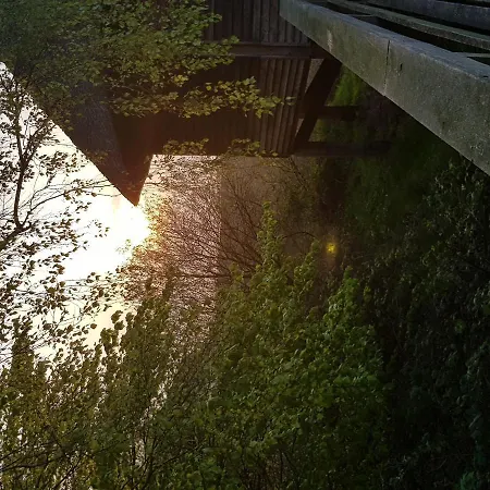 Ferienhaus Bisdorf Nahe Der Insel Rugen - #120424